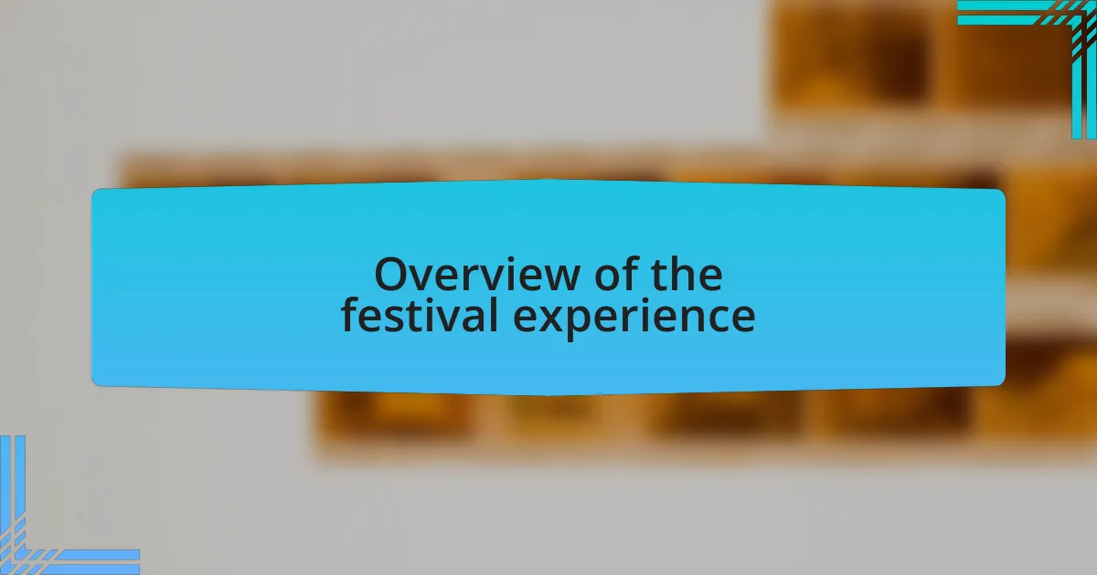 Overview of the festival experience
